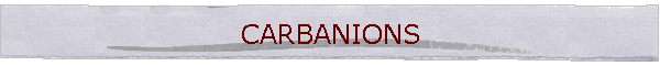 CARBANIONS