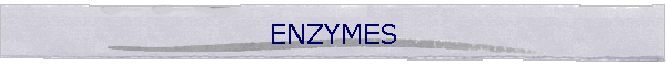 ENZYMES