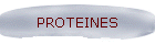 PROTEINES